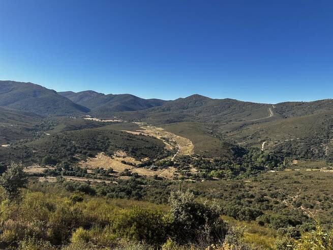 Castilla-La Mancha destina 200.000 euros a agrupaciones forestales para combatir la fragmentación de montes