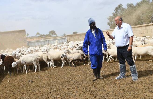 La Escuela de Pastores de Castilla-La Mancha forma a 437 profesionales para revitalizar la ganadería extensiva