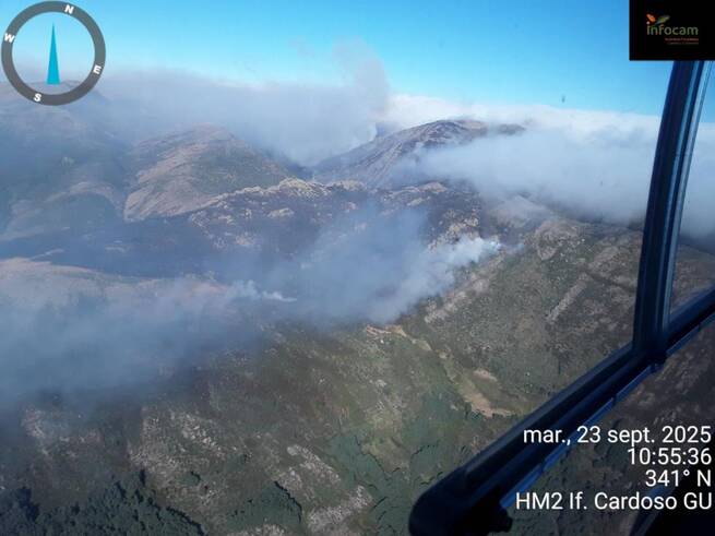 El incendio de Peñalba de la Sierra (Guadalajara) mantiene estabilizado su perímetro tras una noche de trabajo intensivo