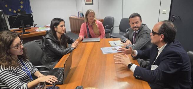 Castilla-La Mancha traslada a la Comisión Europea sus avances en accesibilidad universal