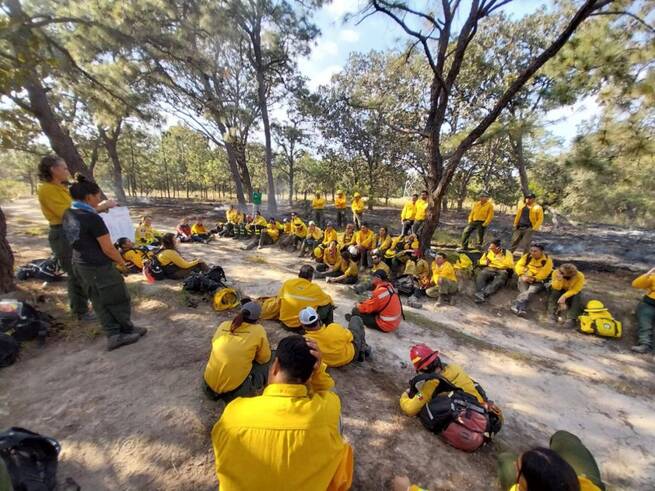Castilla-La Mancha acogerá el primer programa de formación en manejo del fuego técnico específico para mujeres de España