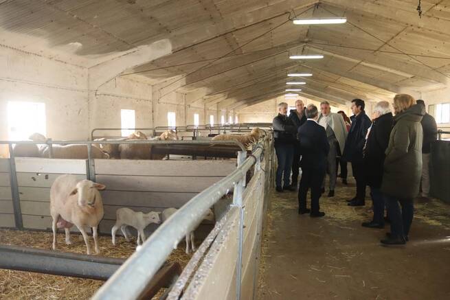 Castilla-La Mancha multiplica por casi tres la inversión en sanidad animal para 2026 con 5,7 millones de euros