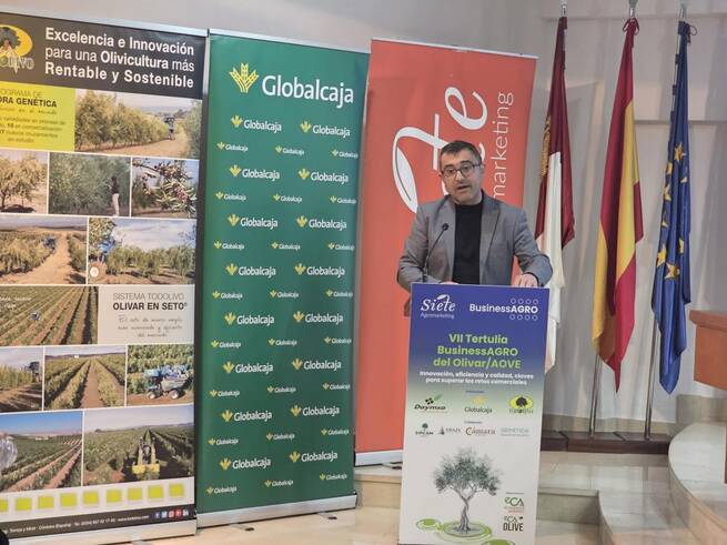 Castilla-La Mancha consolida su posición como tercera potencia mundial olivarera con 460.000 hectáreas y 83.000 productores