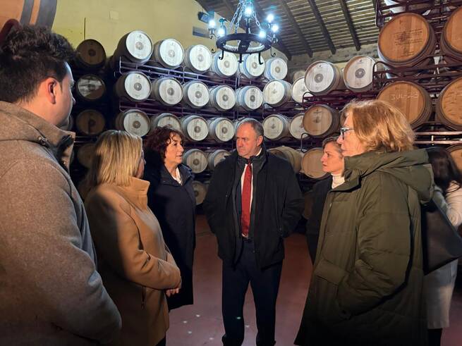 Las bodegas de Castilla-La Mancha presentan 84 solicitudes de ayuda VINATÏ con una inversión de 55 millones