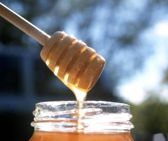 Destinados 1,4 millones a proteger las abejas y modernizar la apicultura de Castilla-La Mancha