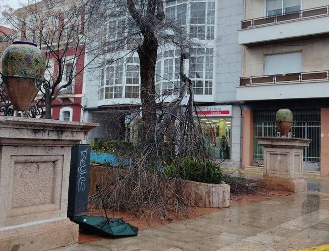 Valdepeñas registra múltiples incidencias por la alerta naranja de viento sin daños personales