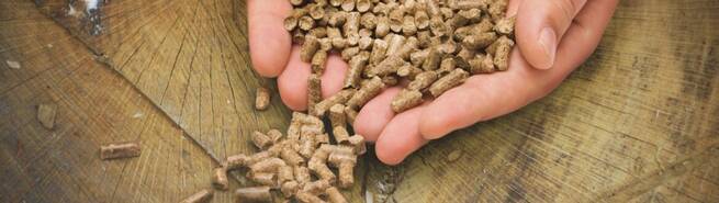 La elección del pellet certificado se ha consolidado como clave para el ahorro energético