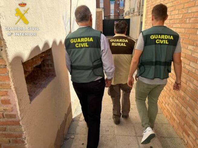 El SEPRONA detiene en Toledo al presunto autor de la muerte de un águila imperial ibérica