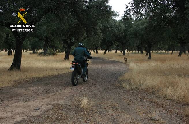 El SEPRONA de Ciudad Real investiga a 50 personas por delitos medioambientales en el segundo semestre de 2025