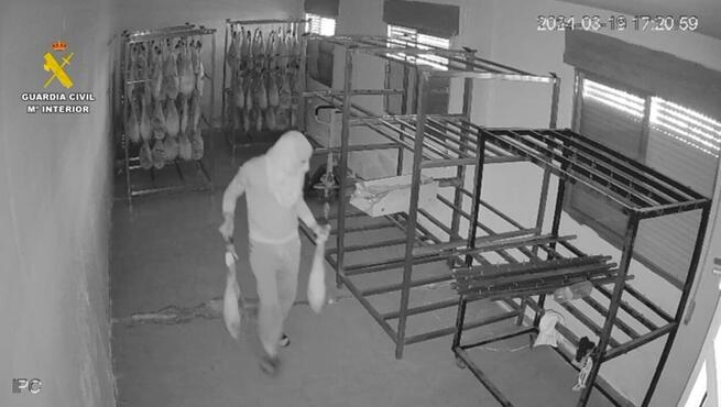 Detenido un hombre por robar jamones ibéricos de un almacén en Polán (Toledo)