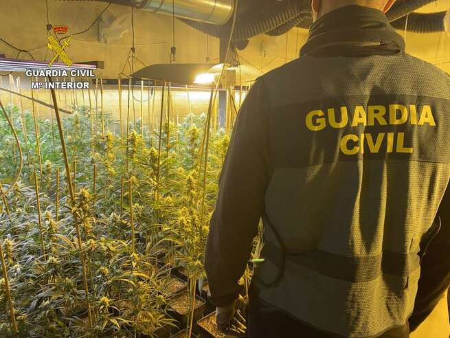 La Guardia Civil desmantela dos plantaciones de marihuana en viviendas de Olías del Rey y Mocejón