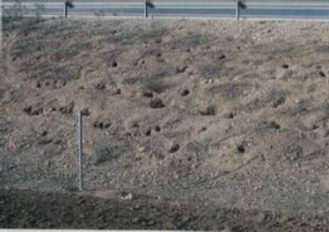 La Unión de Agricultores alerta del riesgo estructural en infraestructuras públicas por la plaga de conejo en Castilla-La Mancha