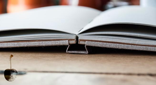 Aprende Sewn Boards Binding en el próximo taller de Un Cuarto Propio 