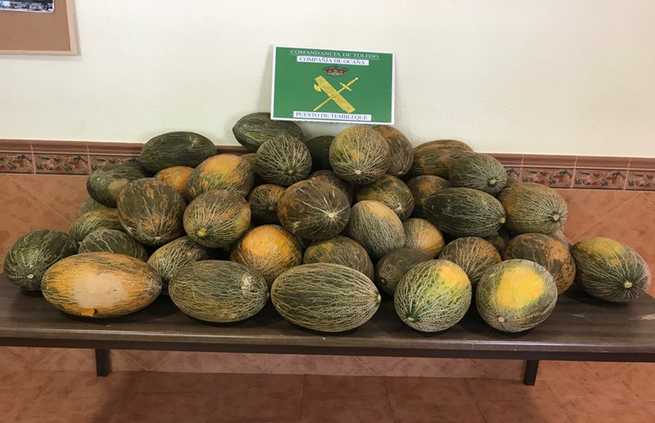 La Guardia Civil investiga a tres personas por un delito de hurto de 20.000 kilos de melones en Tembleque