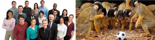 Manual de Intenciones