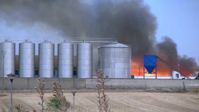 Incendio de pastos en el término de Pozuelo de Calatrava