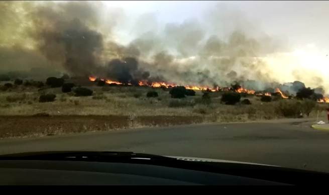 Incendio en las inmediaciones de las "Playas del Vicario" en Ciudad Real Incendio en las inmediaciones de las "Playas del Vicario" en Ciudad Real
