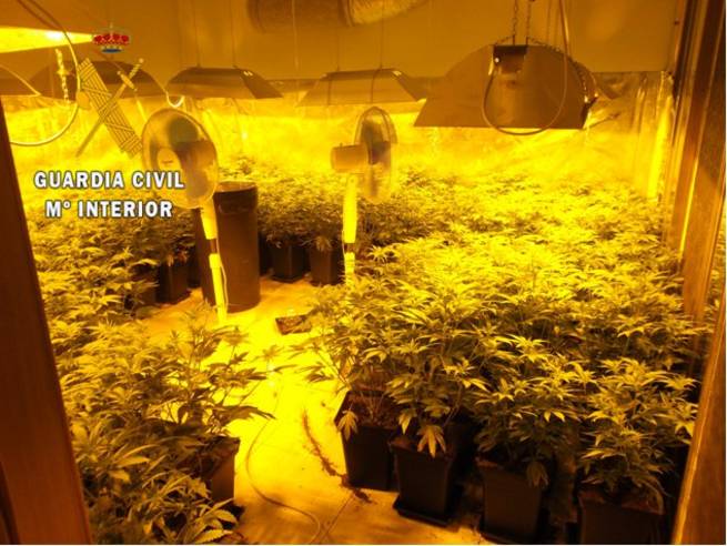 La Guardia Civil desmantela un laboratorio interior de marihuana en Yeles y detiene a dos personas