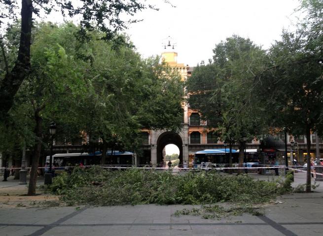 Imagen: El viento provoca la caída de varias ramas y chapas en diferentes puntos de Toledo que requiere la intervención de los Bomberos