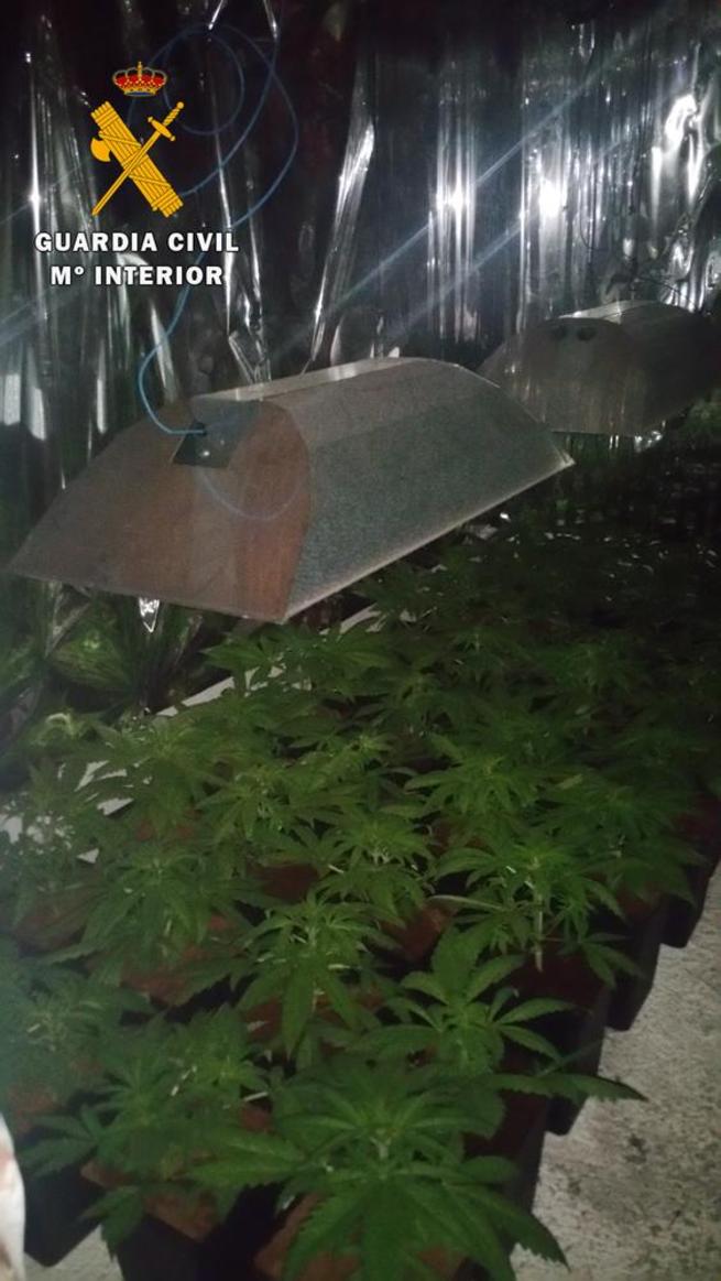 Imagen: La Guardia Civil detiene a dos personas en Illescas por cultivo de marihuana