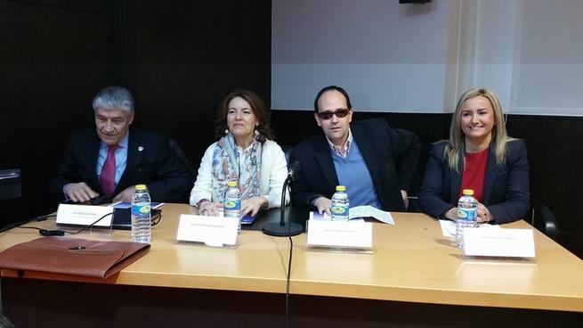 Imagen: El equipo de Gobierno destaca el “sentido transversal” de su política en materia de Accesibilidad en Toledo 