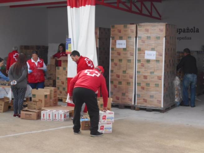 31.000 kg de alimentos comienzan a repartirse entre las familias más necesitadas de Valdepeñas a través del programa FEAD y Cruz Roja