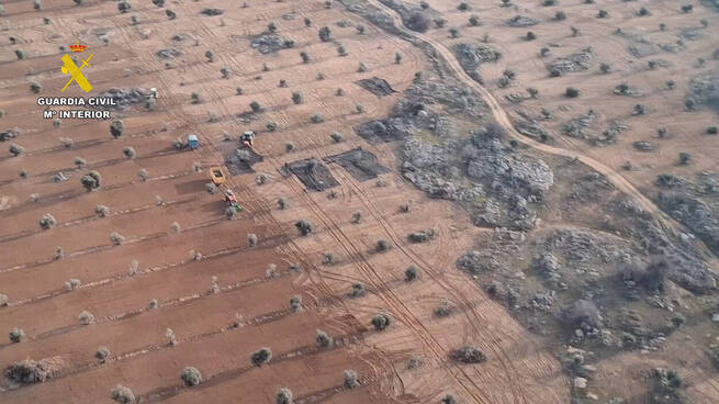 La Comandancia de la Guardia Civil de Toledo pone en marcha un dispositivo de prevención y control durante la campaña de recolección de aceituna 2025/2026