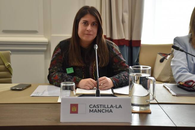 Castilla-La Mancha reclama un marco de financiación realista y flexible que tenga en cuenta la singularidad de la región de cara al nuevo Plan de Vivienda