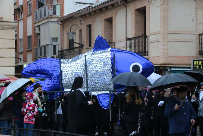Imagen: Miguelturra entierra con honores y agua a la sardina  