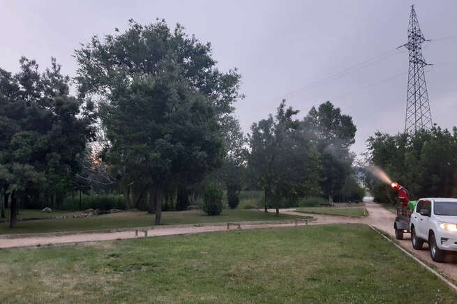 En marcha la campaña para el control de la proliferación de mosquitos