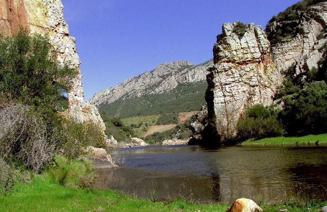 imagen de Parque natural del Valle de Alcudia y sierra Madrona