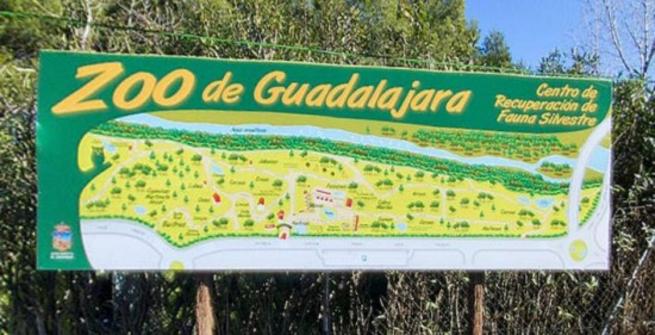 Imagen: EL Zoo de Guadalajara colabora con el INIA en un programa de investigación del plan Estatal de I+D+I