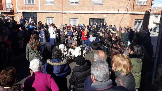 En Porzuna niños y mayores asistieron a la tradicional bendición de animales de San Antón