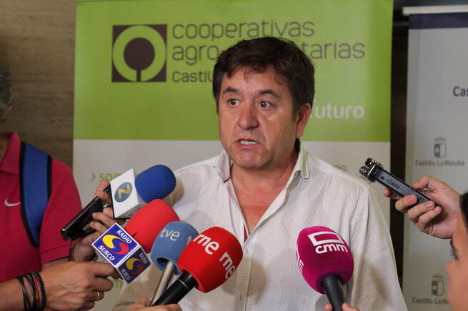 Cooperativas Agro-alimentarias estima una cosecha de 19,5 millones de hl de vino y mosto en Castilla-La Mancha