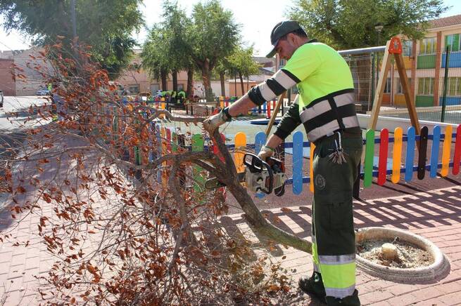 El Ayuntamiento de Bolaños continúa con la Campaña de poda y limpieza de jardines en Bolaños de Calatrava