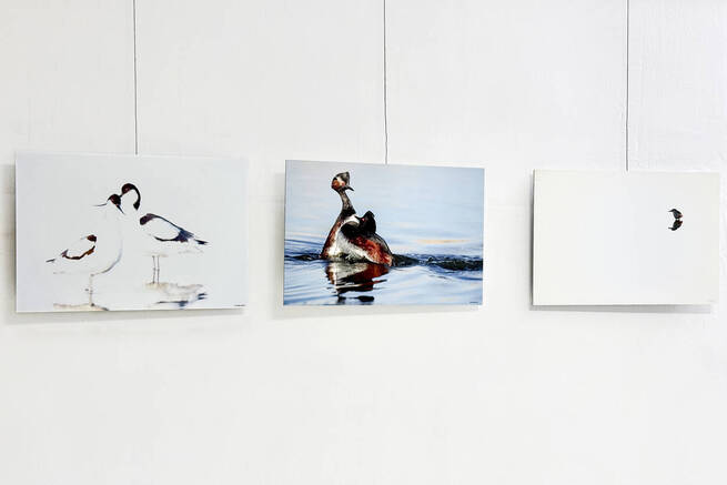 El Museo AVAN de Viso del Marqués clausura la exposición “Posados” del fotógrafo Aníbal de la Beldad el próximo sábado 29 de noviembre