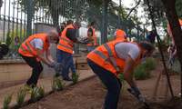 Voluntarios Repsol participan en la creación de un huerto urbano en el Centro Ocupacional de Funda-ción Fuente Agria de Puertollano