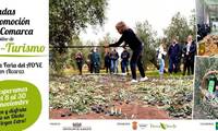 La Sierra de Alcaraz celebra un mes dedicado al aceite con jornadas de oleoturismo y su primera feria del AOVE