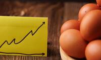 La OCU alerta de una subida récord en el precio de los huevos que castiga a las familias con menos recursos