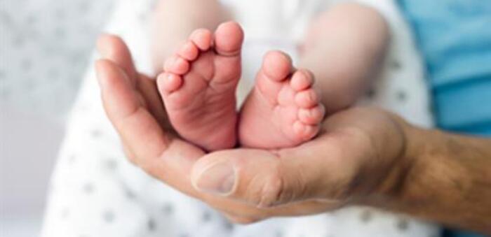 La Seguridad Social ha tramitado 354.618 permisos por nacimiento y cuidado de menor en lo que va de año