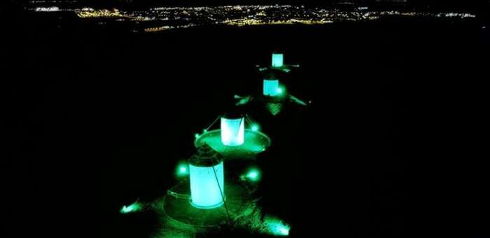 Iluminación verde esmeralda en Alcázar por el Día de la concienciación del Perthes