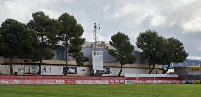 El Ayuntamiento de La Roda retirará nueve árboles del Campo Municipal de Deportes por riesgo de caída