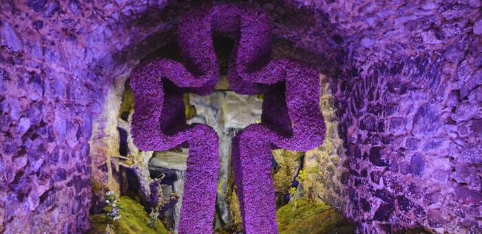 Piedrabuena despliega su esplendor con las Cruces y Mayos: una fiesta sensorial que aspira a ser Patrimonio Turístico Nacional