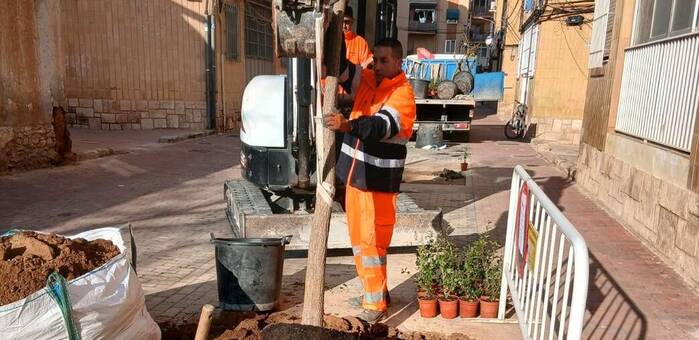 El Ayuntamiento de Albacete crea 130 nuevos alcorques en siete calles para incrementar la superficie verde de la ciudad