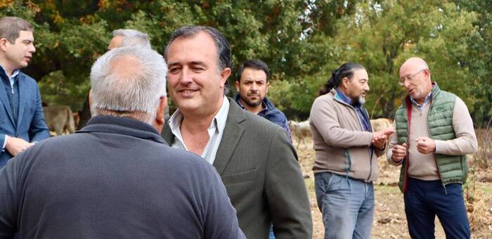 VOX propone permitir la caza controlada del lobo para proteger a los ganaderos de Castilla-La Mancha