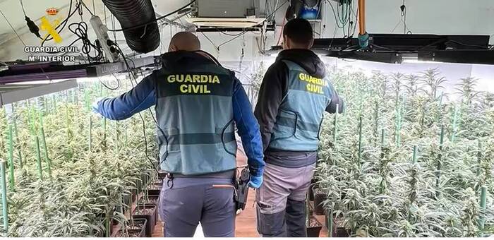 La Guardia Civil desmantela una organización criminal con ocho detenidos por cultivos de marihuana en Madrid y Toledo