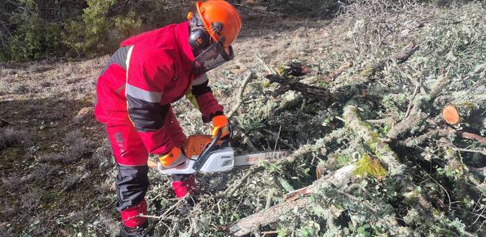 El Recuenco Guadalajara) facilita leña cortada a sus vecinos con un nuevo servicio municipal gratuito