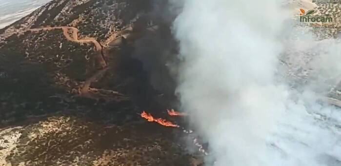 Incendio forestal activo en Puertollano moviliza a 77 efectivos y 19 medios de extinción