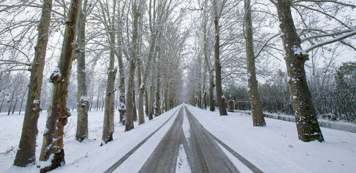 La DGT recomienda planificar los viajes y consultar el estado de las carreteras ante la llegada de más lluvia y nieve