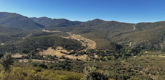 Castilla-La Mancha destina 200.000 euros a agrupaciones forestales para combatir la fragmentación de montes